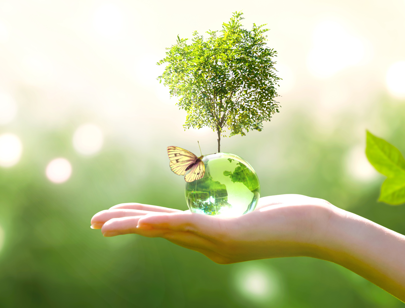 Intensifying our commitment to climate protection