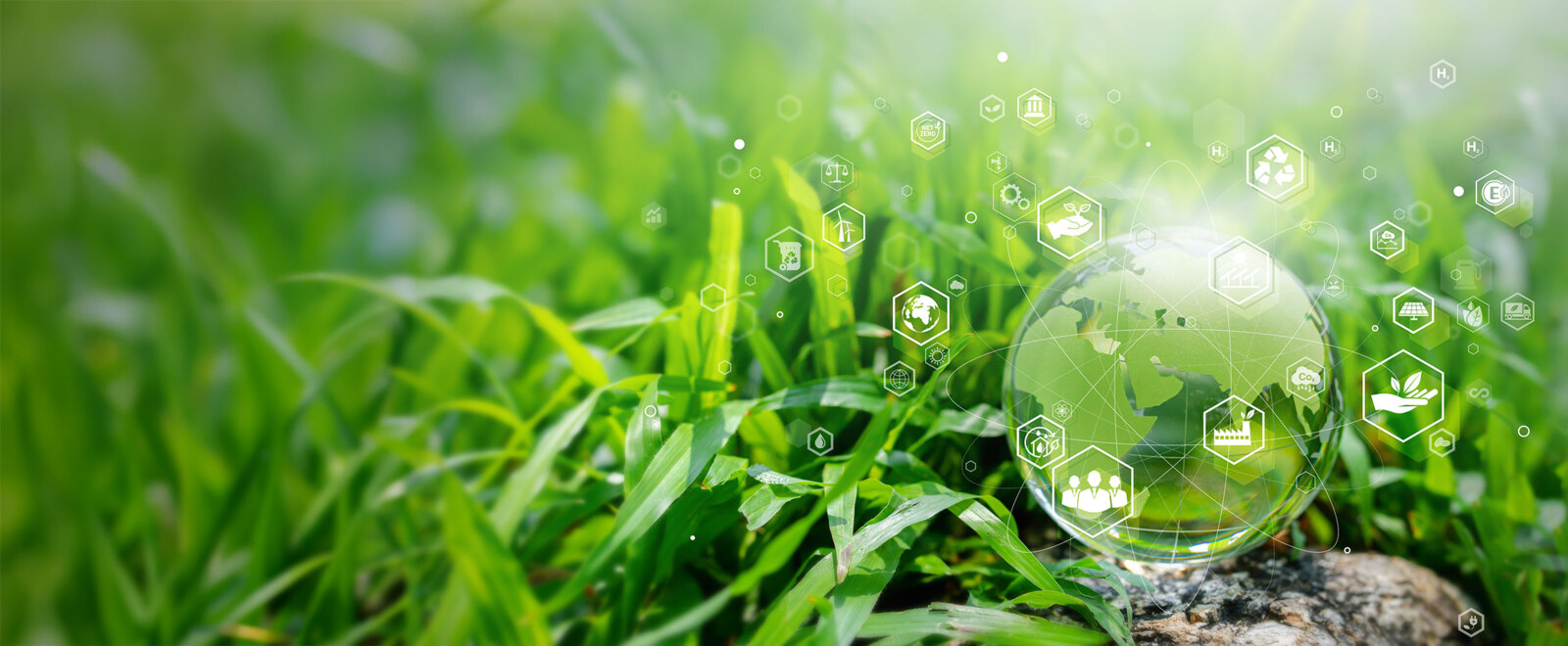 Downloads Certificates, Sustainability, Environment & Responsibility